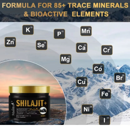 Natural Shilajit