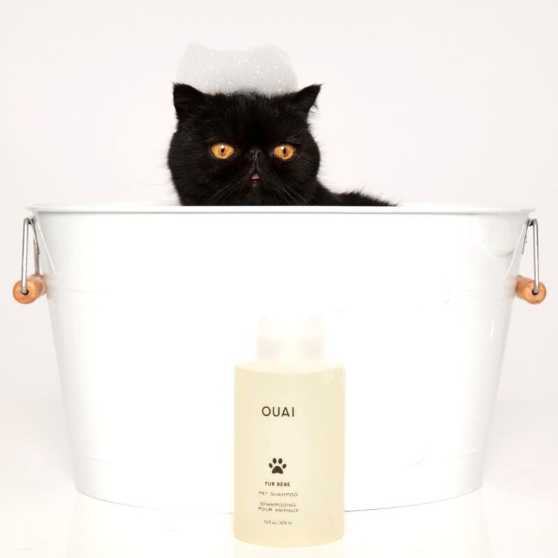 OUAI Fur Bébé Pet Shampoo, Mercer Street Scent - Dog Shampoo and Coat Wash for Hydrating, Cleansing and Adding Shine - Pet Supplies by OUAI (16 Fl Oz) - Image 6