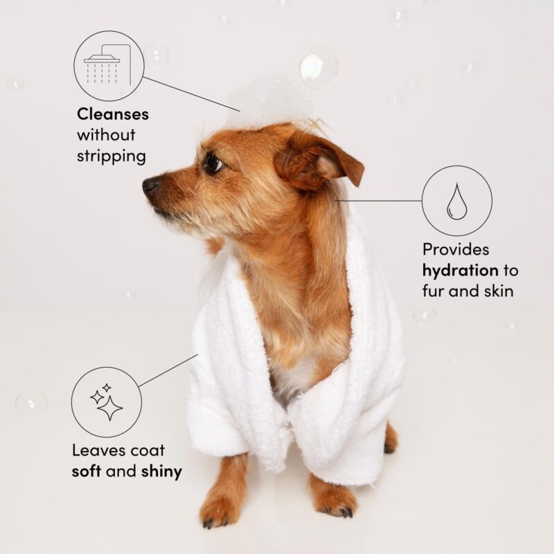 OUAI Fur Bébé Pet Shampoo, Mercer Street Scent - Dog Shampoo and Coat Wash for Hydrating, Cleansing and Adding Shine - Pet Supplies by OUAI (16 Fl Oz) - Image 2