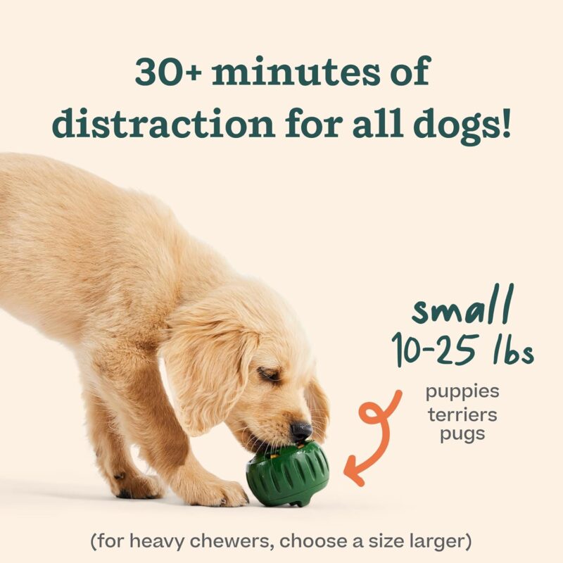 WOOF Starter Pack - Interactive Dog Toys for Boredom - Dog Treat Molds Silicone - Chicken-Flavored Healthy Treats for Dogs - Pupsicle Doggy Enrichment Toy - for Small Pups - 10-25 lbs - Image 4