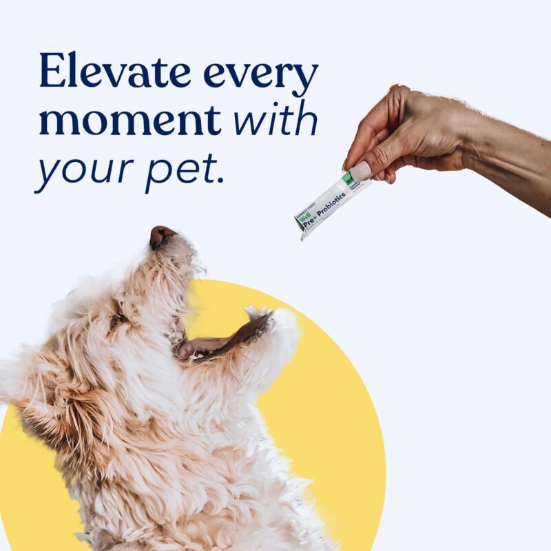 Honest Paws Probiotics for Dogs - Dog Digestion Gut Health Probiotic Powder with Prebiotic Made in The USA, Digestive and Immune Support - Digestive Enzymes with Pumpkin Flavor (30 Sticks) - Image 5