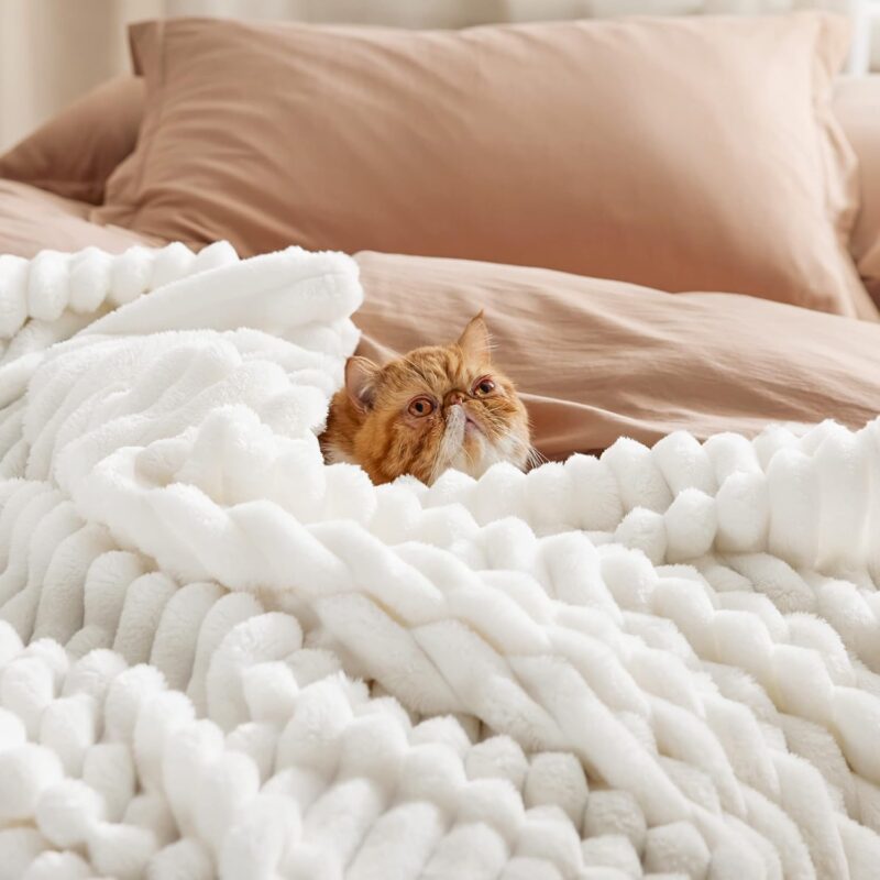 Bedsure GentleSoft White Throw Blanket for Couch - Cozy Blanket for Women, Cute Fleece Throws for Girls, Teacher Gifts Birthday Gifts for Women Men Mom, Room Home Dorm Decor, Off White, 50x60 Inches - Image 2