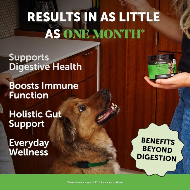 Probiotics for Dogs for Occasional Diarrhea & Bowel Support, Digestive Enzymes with Prebiotics for Gut Health for Dogs, Immunity Health & Itch Relief (Duck 90 ct) - Image 2