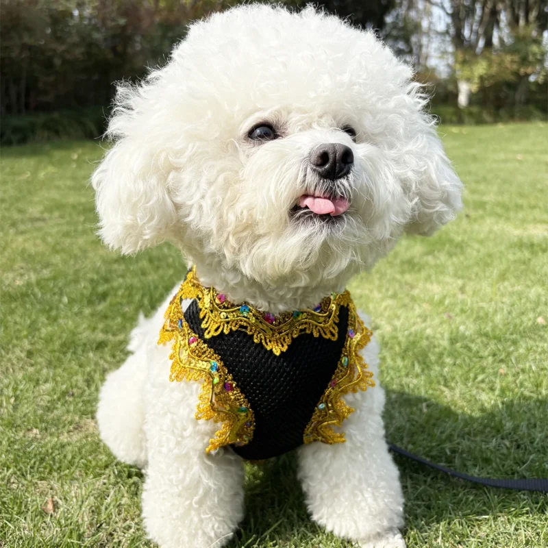 Ventilate Small Dog Harness Leash Sets Summer Soft Cat Harness and Leash Sets Adjustable Dog Harness Pet Leash Cat Accessories - Image 2