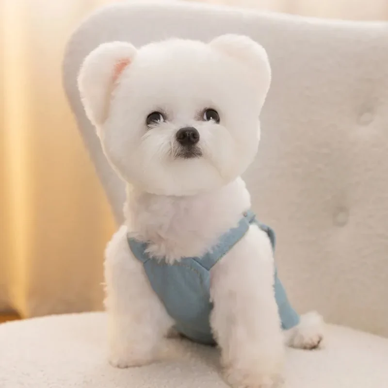 Pets Accessories for Dogs Pet Clothes Dog Dresses Small Soft Supplies Sweatshirt Clothing Chihuahua York Dress Costume Medium - Image 3